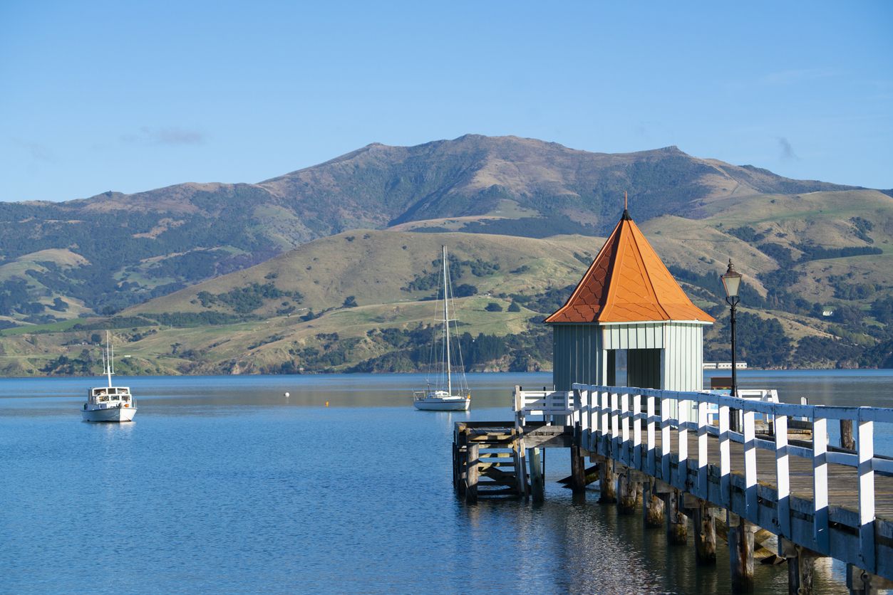 akaroa stock 2