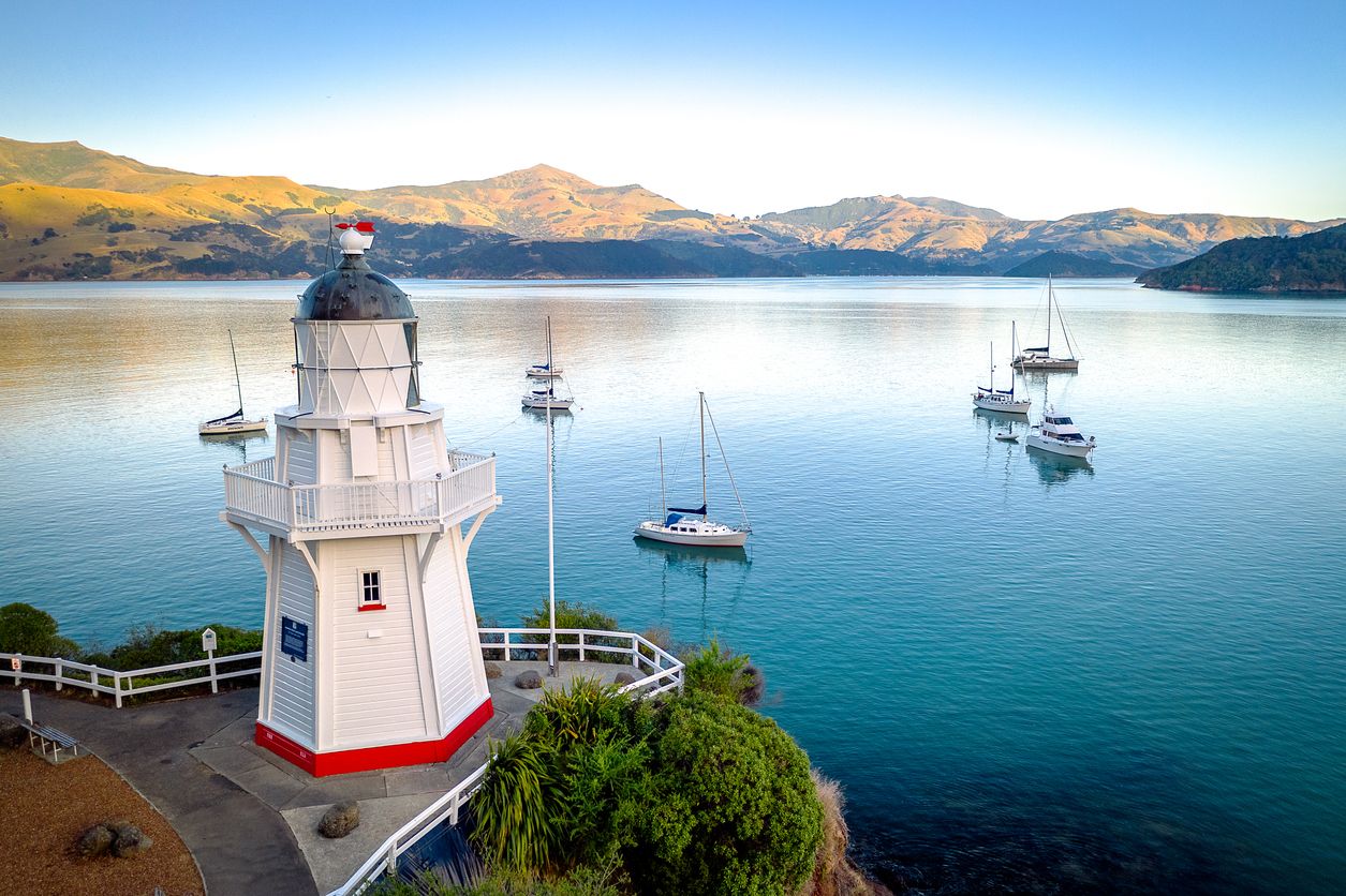 akaroa stock